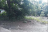 Land for sale in Rosales, Pangasinan