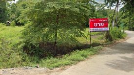 Land for sale in Yang Noeng, Chiang Mai