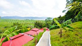 Land for sale in Corong-corong Poblacion, Palawan