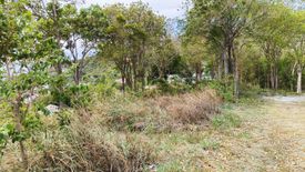 Land for sale in Bo Phut, Surat Thani