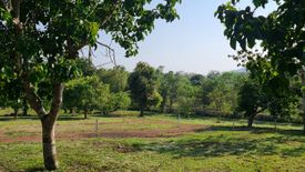 Land for sale in Huai Sak, Chiang Rai