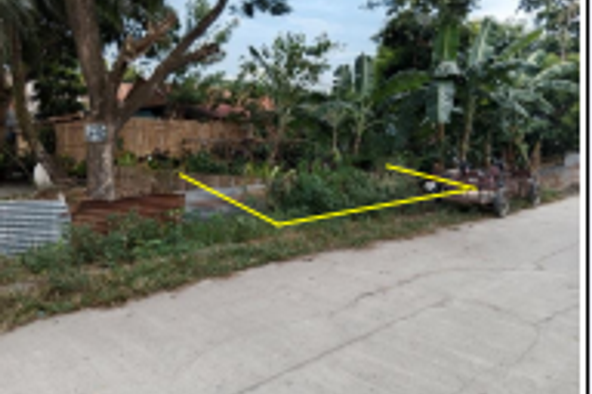 Lot 3, along Road Lot 4, Woodstock Subdivision, Barangay Tangub