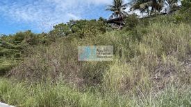 Land for sale in Talamban, Cebu