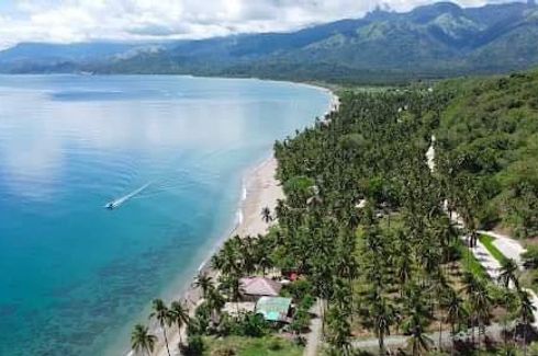 Land for sale in San Vicente, Occidental Mindoro