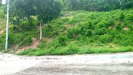 Land for sale in Guizo, Cebu