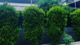 Rumah dijual dengan 3 kamar tidur di Kedoya Utara, Jakarta