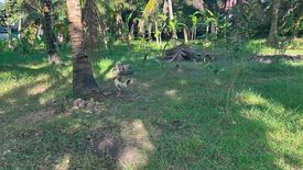 Land for sale in Poblacion III, Cebu