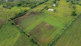 Land for sale in Loong, Cebu