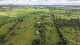 Land for sale in Loong, Cebu