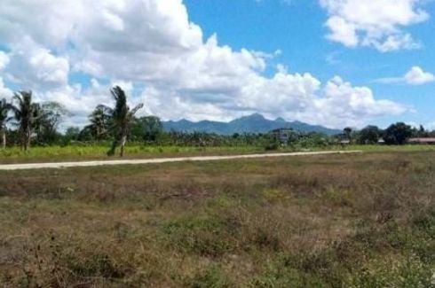 Land for sale in Guinhawa, Batangas