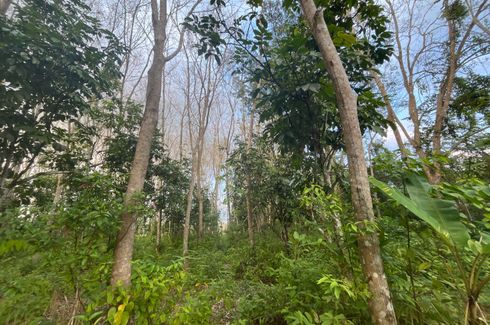 Land for sale in Thai Mueang, Phang Nga