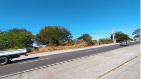 Land for sale in Parista, Nueva Ecija