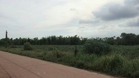 Land for sale in Yan Ri, Prachin Buri