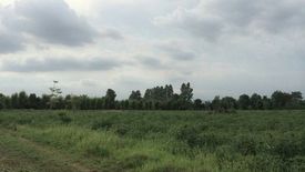 Land for sale in Yan Ri, Prachin Buri