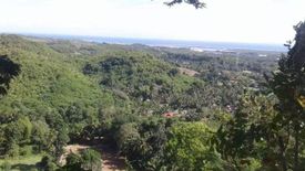 Land for sale in Cambanay, Cebu
