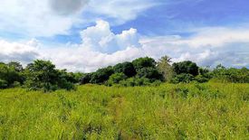 Land for sale in Barangay Ng Mga Mangingisda, Palawan
