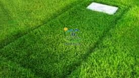 Land for sale in Binaliw, Cebu