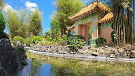 Land for sale in Binaliw, Cebu