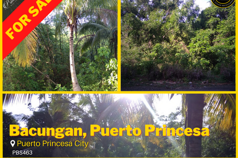 Land for sale in Bacungan, Palawan