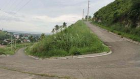 Land for sale in Cadulawan, Cebu