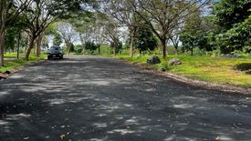 Land for sale in Abrio, Pulong Santa Cruz, Laguna