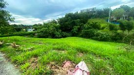 Land for sale in Tunasan, Metro Manila