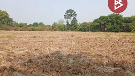 Land for sale in Makluea Kao, Nakhon Ratchasima