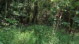 Land for sale in Kampung Permata, Selangor