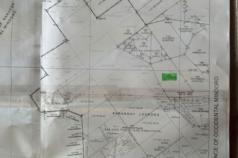 Land for sale in Ansiray, Occidental Mindoro
