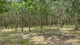 Land for sale in Nong Phan Tha, Bueng Kan