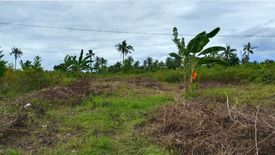 Land for sale in Saavedra, Cebu