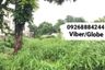 Land for sale in Holy Spirit, Metro Manila