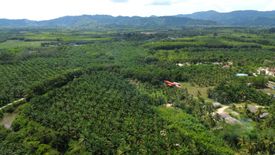 Land for sale in Na Toei, Phang Nga