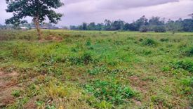 Land for sale in Lomangog, Bohol