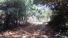 Land for sale in Ban Kat, Chiang Mai