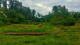 Land for sale in Anislag, Bohol