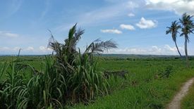 Land for sale in Banban, Cebu