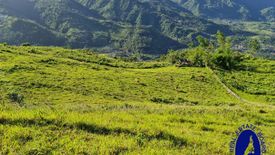 Land for sale in Pamutan, Cebu