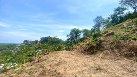 Land for sale in Rawai, Phuket