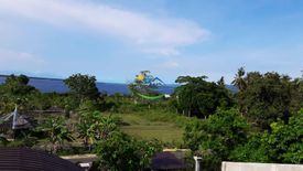 Land for sale in Moto Norte, Bohol