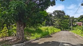 Land for sale in Tangub, Negros Occidental