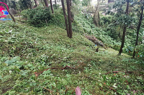 Land for sale in Ampucao, Benguet
