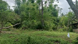 Land for sale in San Isidro, Bohol