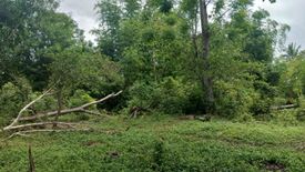 Land for sale in San Isidro, Bohol