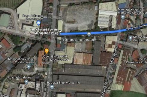 Land for sale in Manggahan, Metro Manila