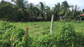 Land for sale in Santo Tomas, Iloilo