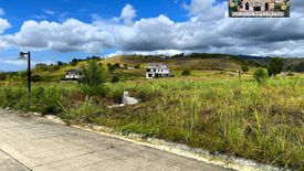 Land for sale in Bacayan, Cebu