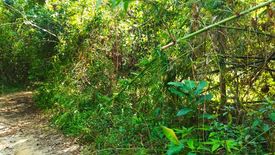 Land for sale in Kampung Janda Baik, Pahang