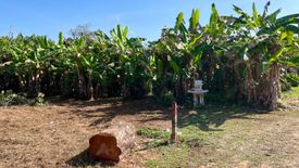 Land for sale in Khok Kloi, Phang Nga