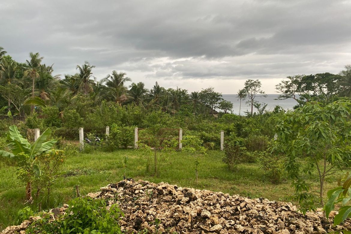 Rush Lot for Sale in Anda Bohol / BOHOLANA REALTY 📌 Land for sale in